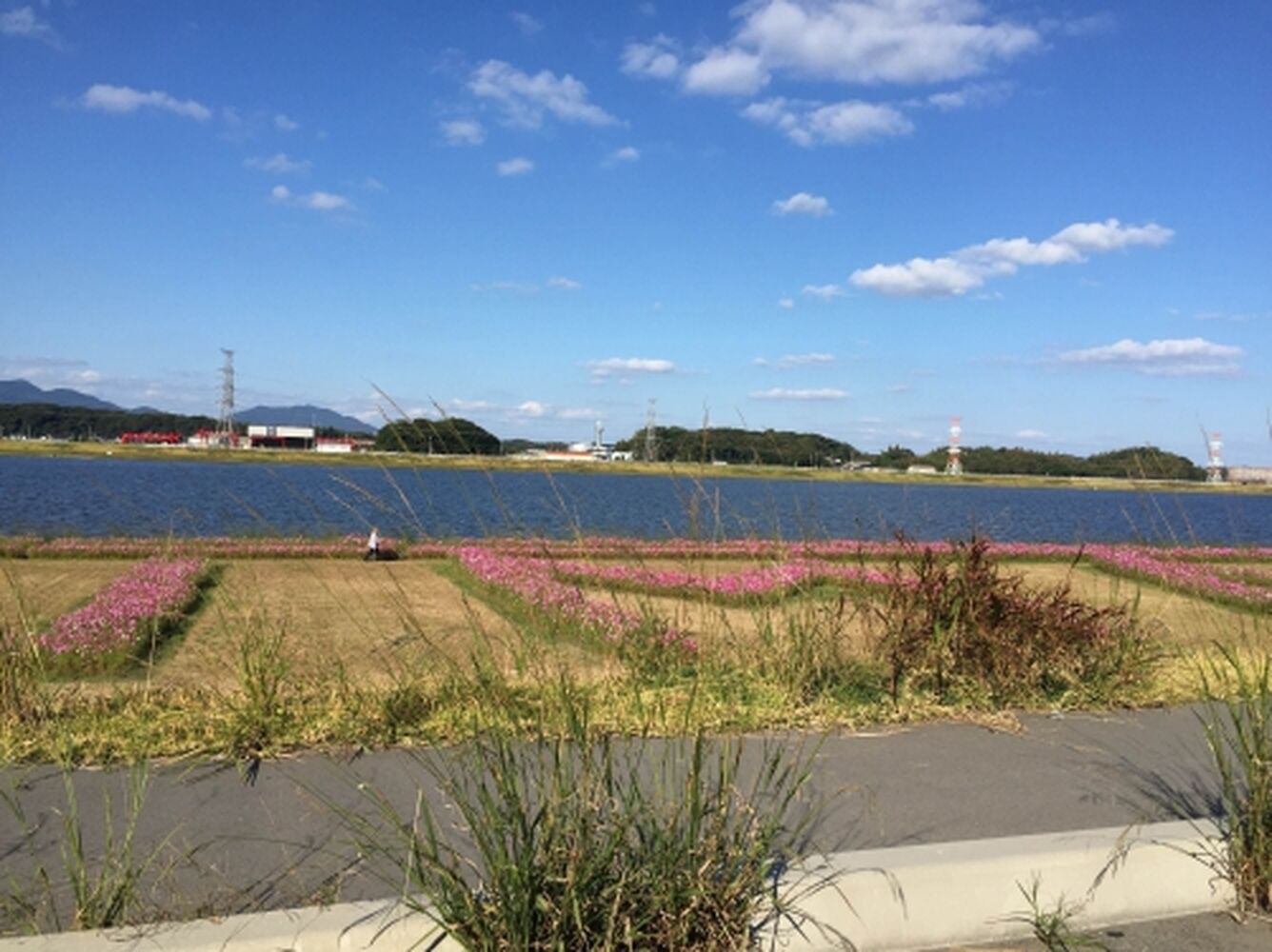 ブログ