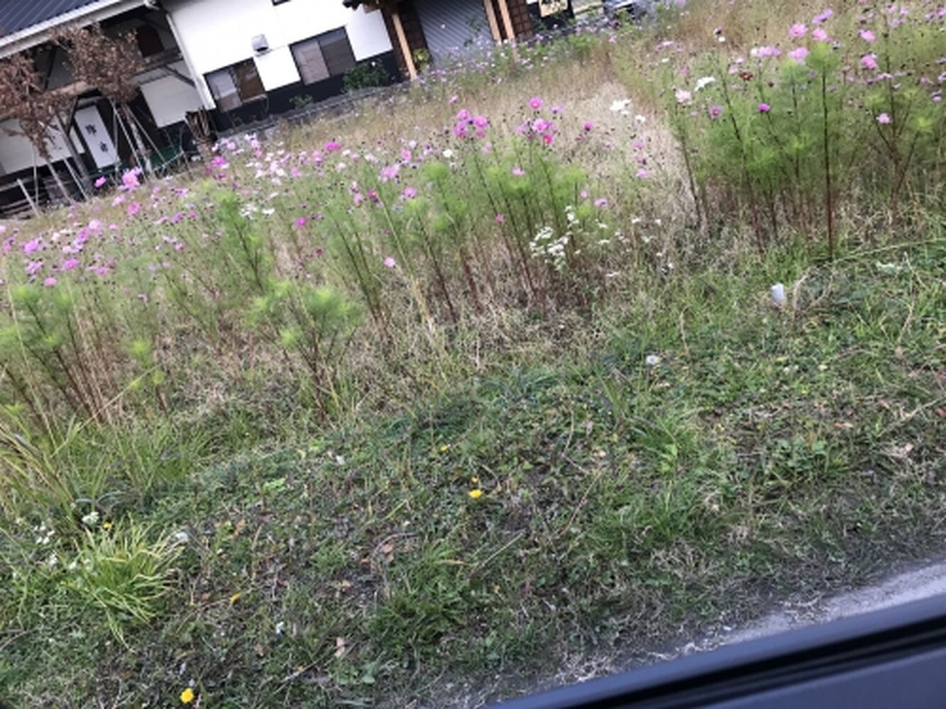 ブログ