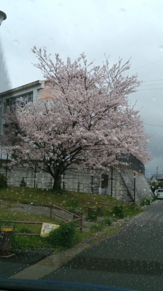 ブログ