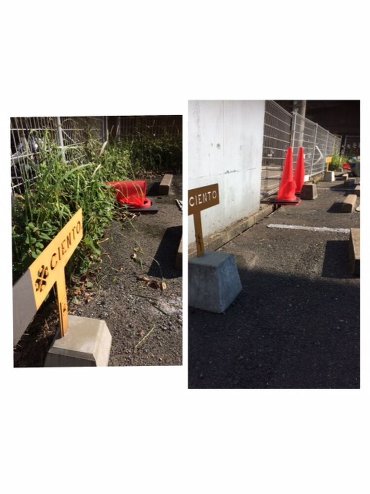 ブログ