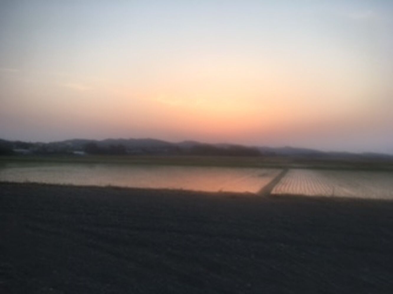 ブログ