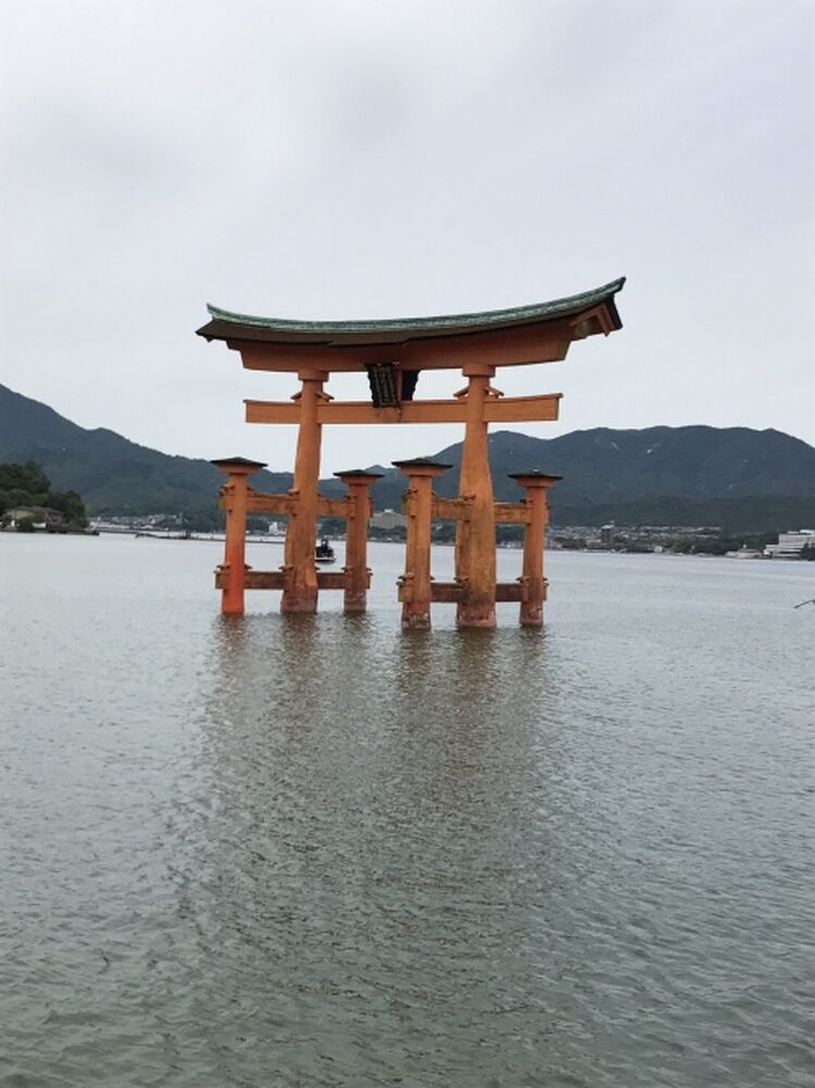 ブログ