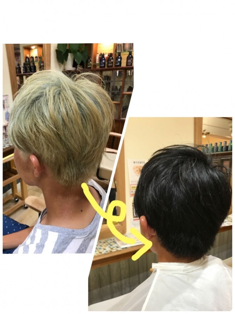ブログ