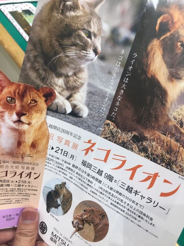 ブログ