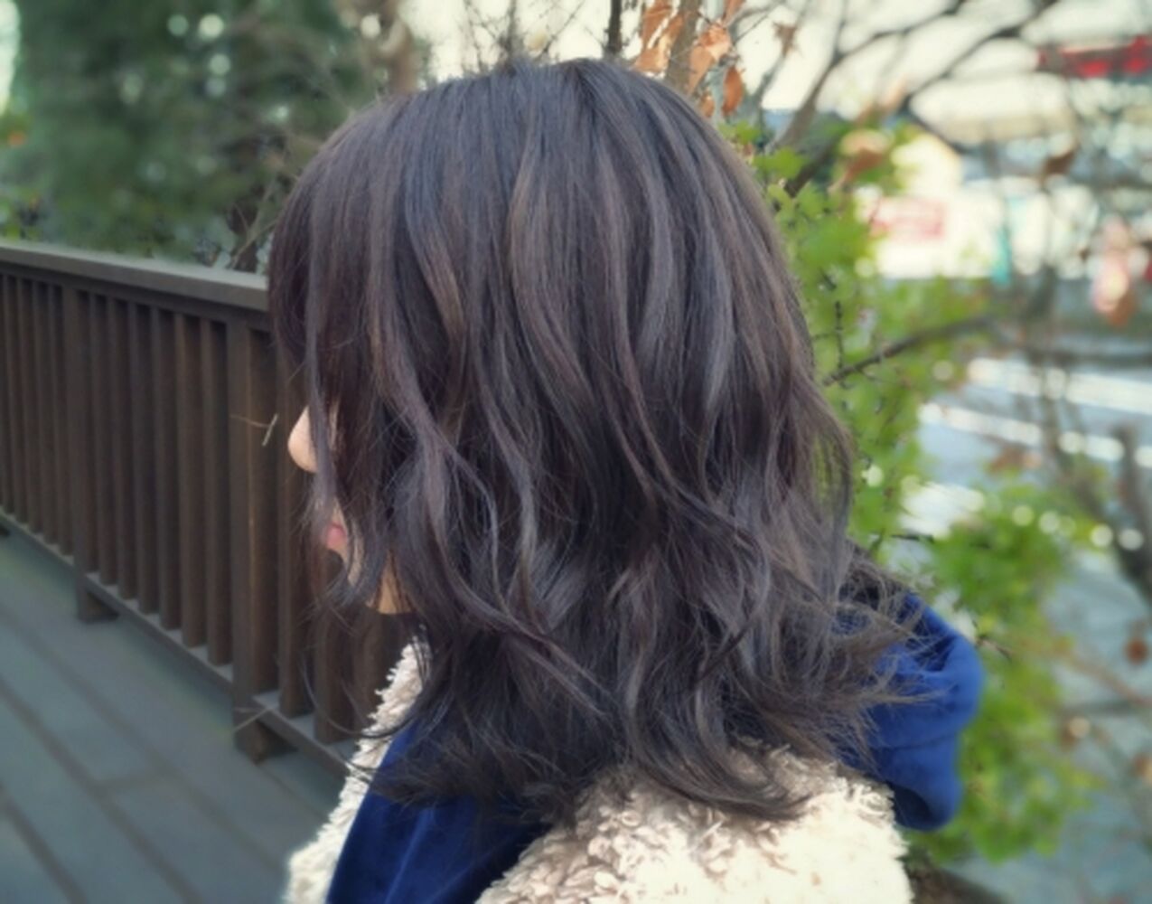 ブログ