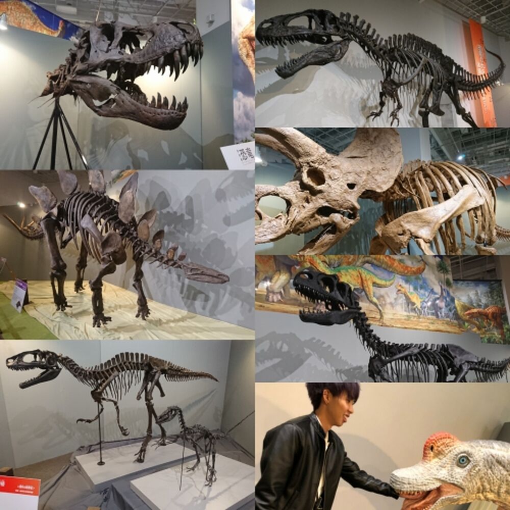 ブログ