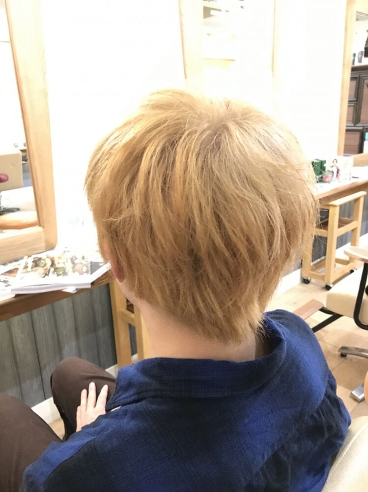 ブログ