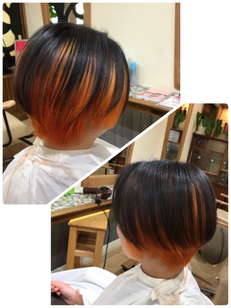 ブログ