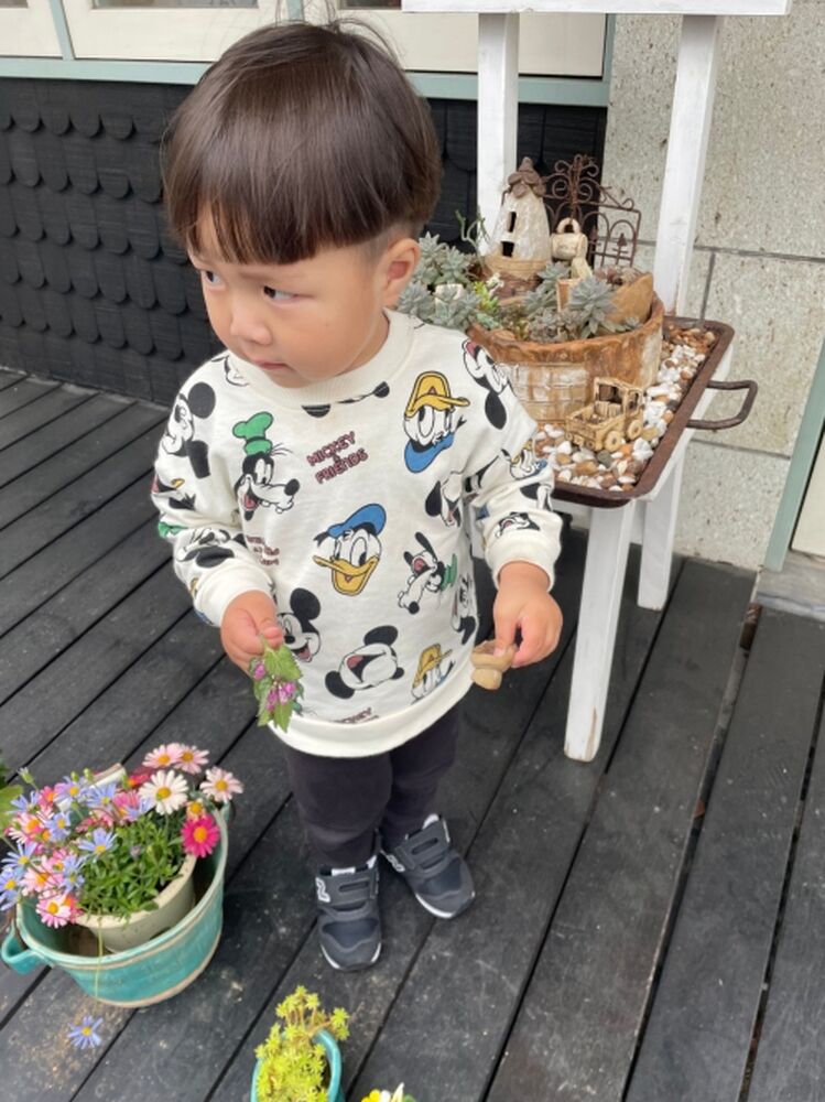 ブログ
