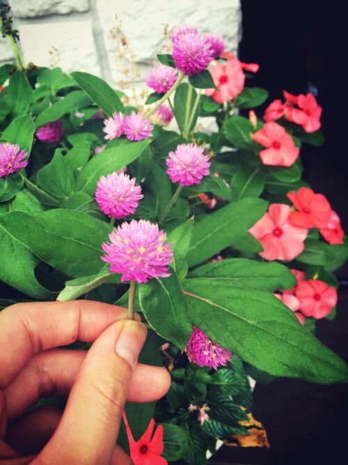 花