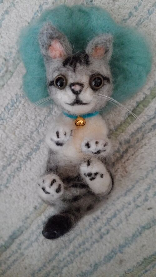 猫ちゃん