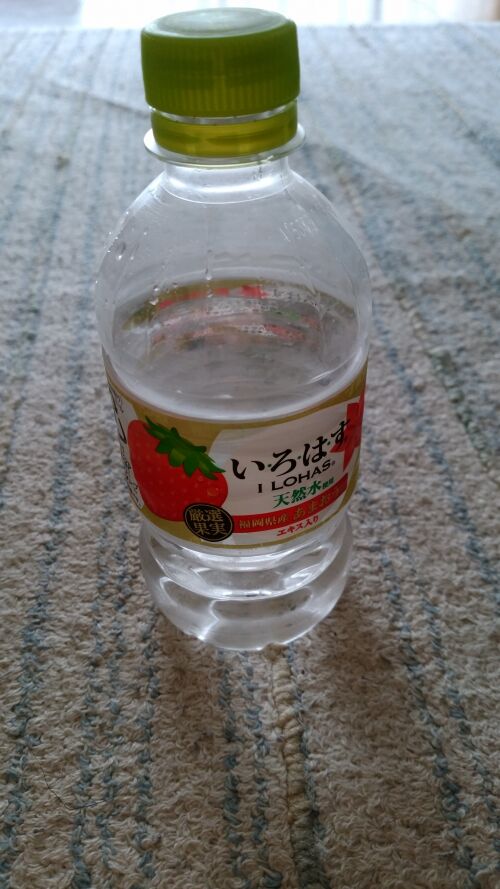 見た目によらず