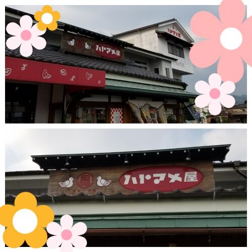 ハトマメ屋さん