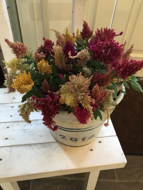 花