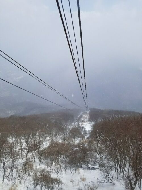 旅行