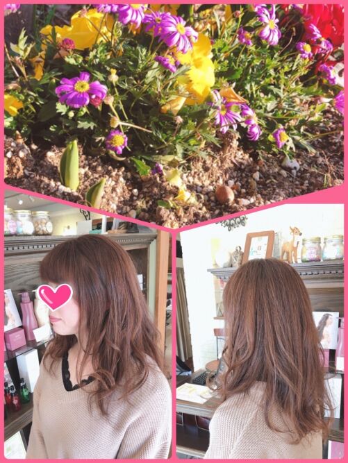 春ですね
