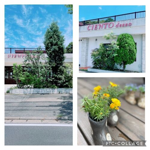 植木職人のSくん